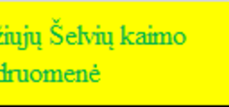Didžiųjų Šelvių kaimo bendruomeniniai verslai